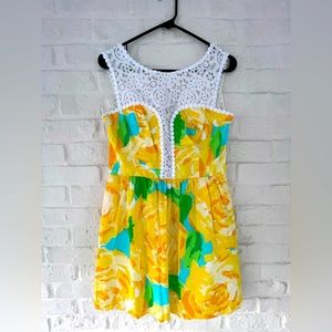 Lilly Pulitzer Reagan Fit and Flare Dress BNWT - Size 6